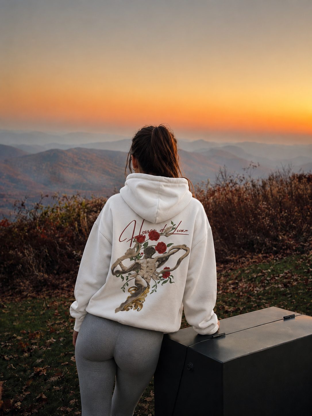 Ascend Hoodie