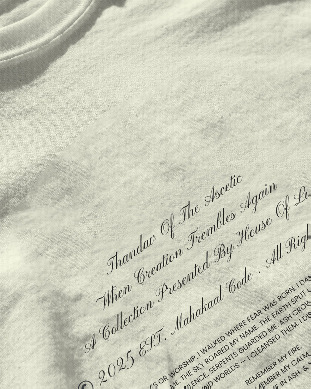 Shiva Thandav Baggy Tshirt