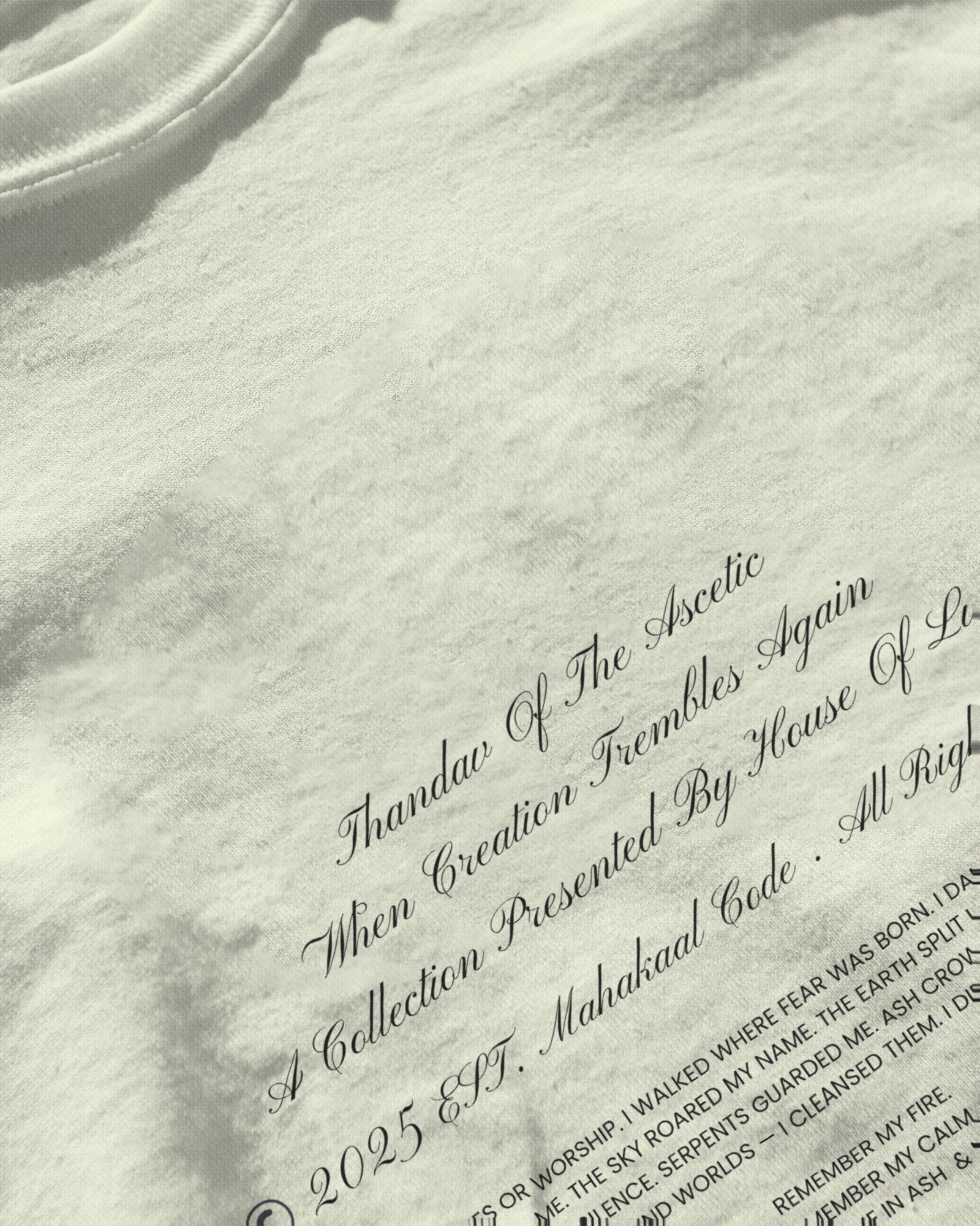 Shiva Thandav Baggy Tshirt